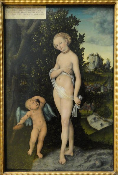 Venus und Amor, der Honigdieb von Lucas Cranach the Elder